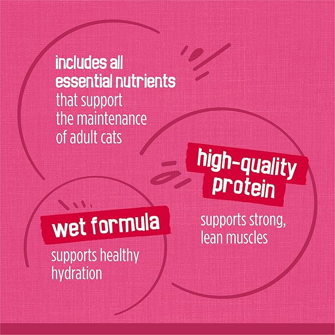 Purina Friskies Gravy Wet Cat Food Variety Pack, Surfin’ and Turfin’ Prime Filets Favorites - (Pack of 40) 5.5 oz. Cans