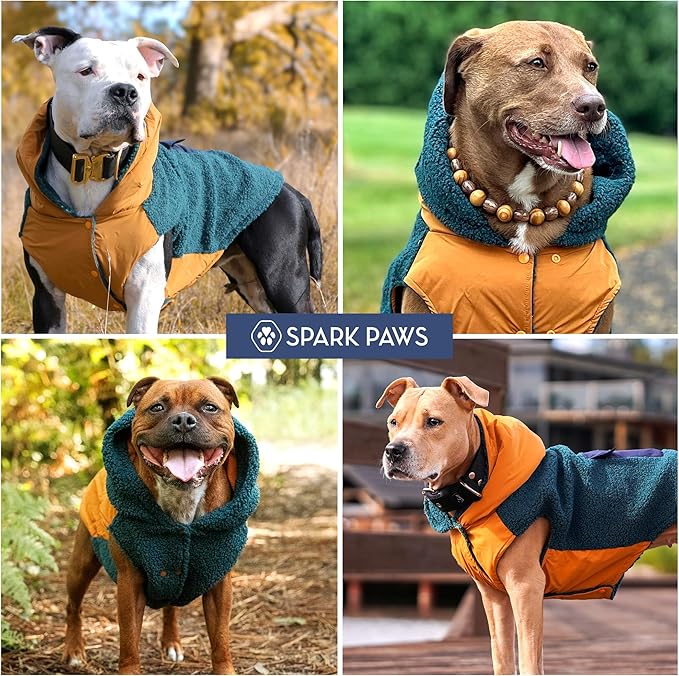 Spark Paws Reversible Dog Sweater, Sherpa Jacket Vest with Warm Fleece Lining, Warm Coat for Winter, Suitable for Small Medium, Large, XL XXL Dogs - Orange and Green - XL