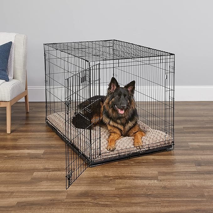 MidWest Homes for Pets 48-Inch iCrate Folding Dog Crate with Divider Panel, Leak-Proof Tray & Secure Latches – Metal Wire Kennel for XL Breeds – Portable, Durable & Easy to Assemble