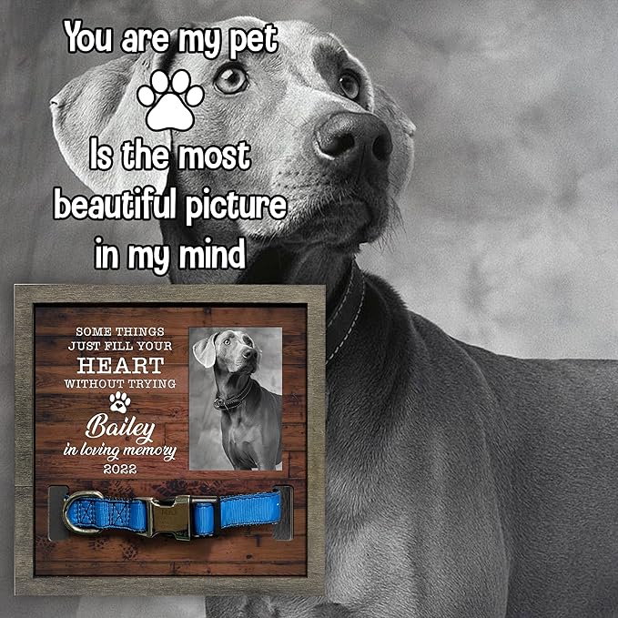 Personalized Dog Collar Memorial Frame Pet Loss Sign for Dog Lovers Gifts Heartfelt Sentimental Quote Pet Memorial Picture For Someone Who Lost A Pet Collar Keepsake Picture Frame Decor