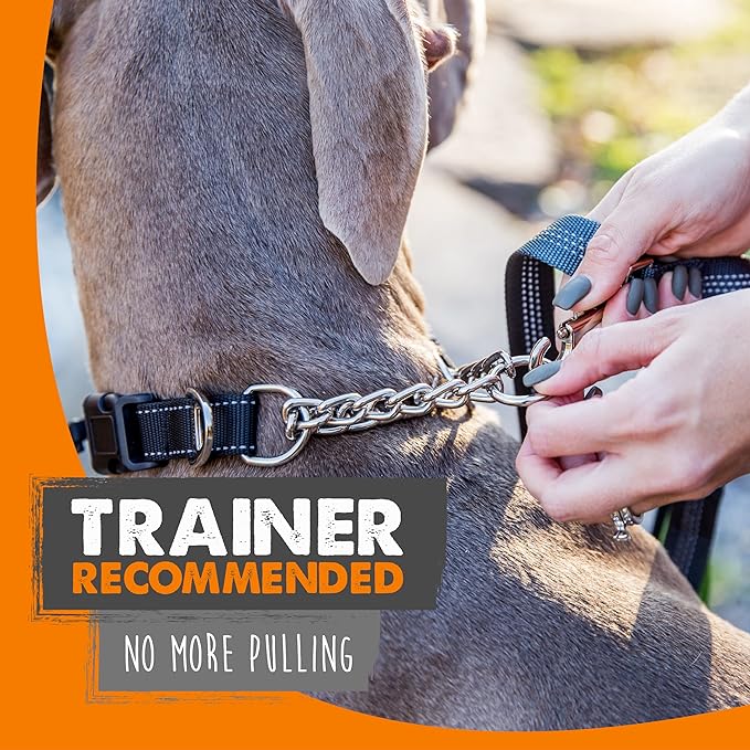 Mighty Paw Martingale Dog Collar 2.0 | Trainer Approved Limited Slip Collar with Stainless Steel Chain & Heavy Duty Buckle - Modified Cinch Collar for Gentle & Effective Pet Training - Small, Black