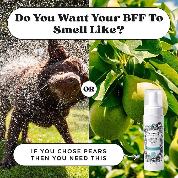 Poo-Pourri Rinse-Free Deodorizing Dry Shampoo for Dogs & Cats – Moisturizing Skin & Coat Soothing Formula - Plant Based Ingredients – Pineapple, Jasmine & Pear – No Rinse Foam Shampoo for Pet Odor