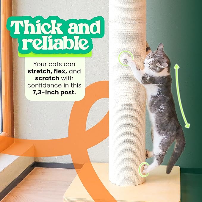 50" Tall Cat Scratching Post, Extra-Large Cat Scratch Post for Biggest Cats (Maine Coon), 7.3” Thick Post, 36lbs Weight, Solid Wood Base & Natural Sisal Rope