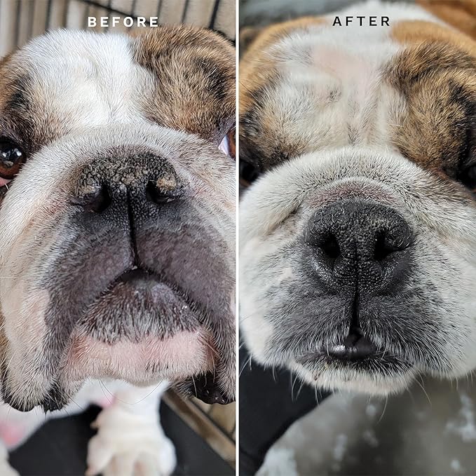 Eye Envy Bulldog Wrinkle Cleaner & Nose Care Kit. Bulldog Wrinkle Wipes, Tear Stain Powder, Applicator Brush & Dog Nose Balm. Cleans Skin Folds. Removes Stains. Helps Cracked Noses. Made in USA