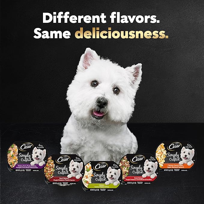 Cesar Simply Crafted Adult Wet Dog Food Meal Topper, Chicken, Carrots & Green Beans and Beef, Chicken, Purple Potatoes, Peas & Carrots Variety Pack, 1.3 oz. (16 Count, Pack of 1)