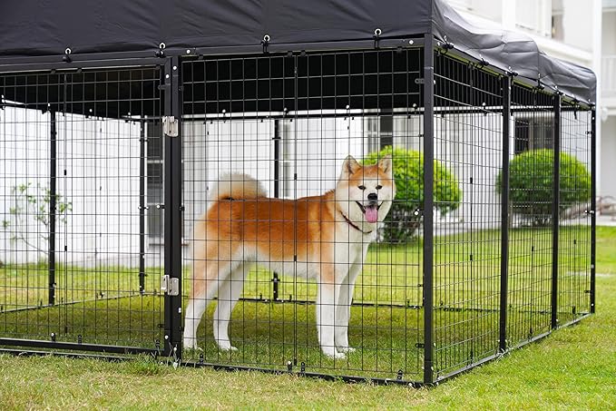 Outdoor Dog Kennel Steel for Medium/Small Dogs Anti-Rust Coating Cage with Roof All Weather Resistant Dog House with Double Locks (118" W x 118" D x 72.5" H)