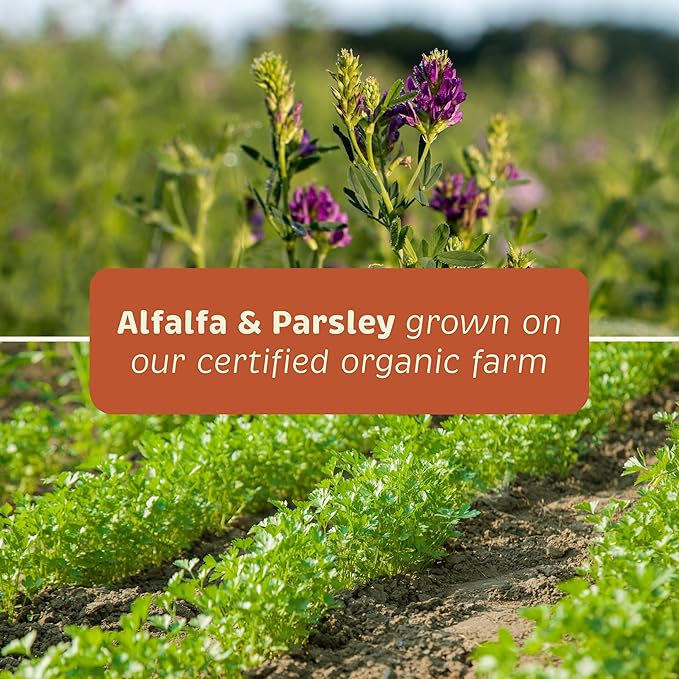 Dental for Cats & Dogs - Teeth Support Powder for Dogs & Cats - Pet Health Supplements with Calcium & Fresh Breath Support - Dental Care for Plaque & Tartar - 165 g