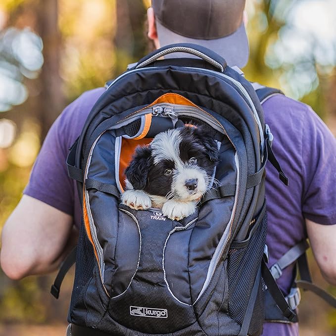 Kurgo G-Train Dog Carrier Backpack - Comfortable Travel Bag for Pets Up to 25 lbs - Waterproof Bottom - Multi-Compartment Pack - Dog Hiking Gear - Rugged Adventure Backpack - Navy Blue