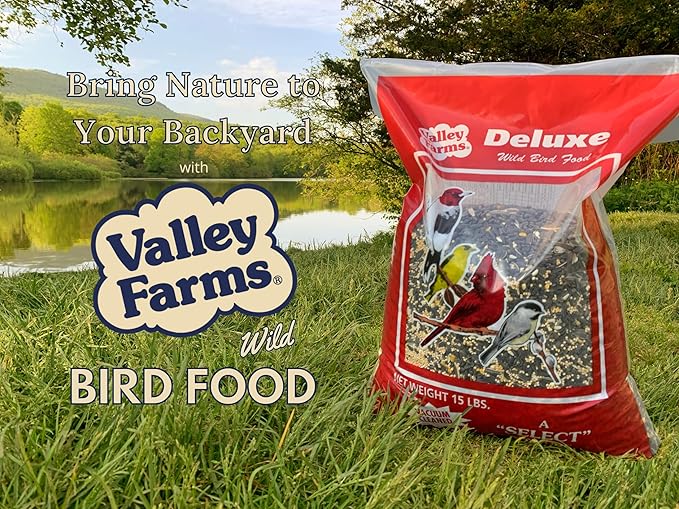 Valley Farms Deluxe Blend (15 LB) Wild Bird Food for Outside Feeders with Sunflower Seed and Safflower Seed for Birds - Value Birdseed