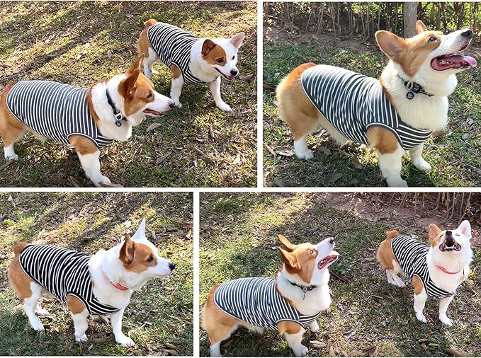 Koneseve Dog Shirt Vest Lightweight Stretchy Dog T-Shirts Soft Cool Shirts Sleeveless Stripe Vests Breathable Clothes for Puppy Kitty Cats Small Medium Large Dogs 2 Pack Black + Grey [ S/Small ]