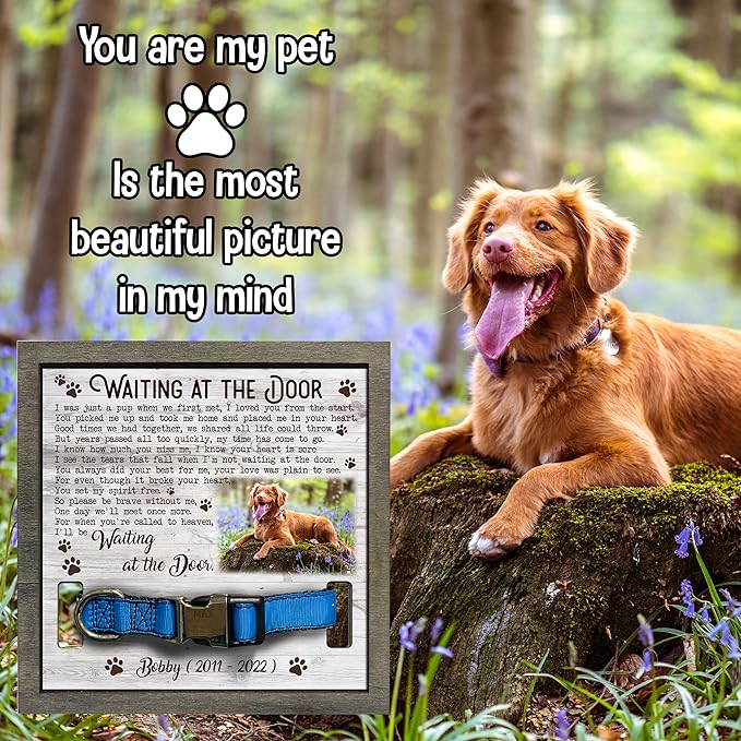 Customized Pet Memorial Picture Frame Memorial Dog Picture Loss Gift for Dog Lovers Natural Wood New Puppy Memorial Best Dog Ever Gifts In Memory of Dogs Memorial Pet Loss Sign Home Decor
