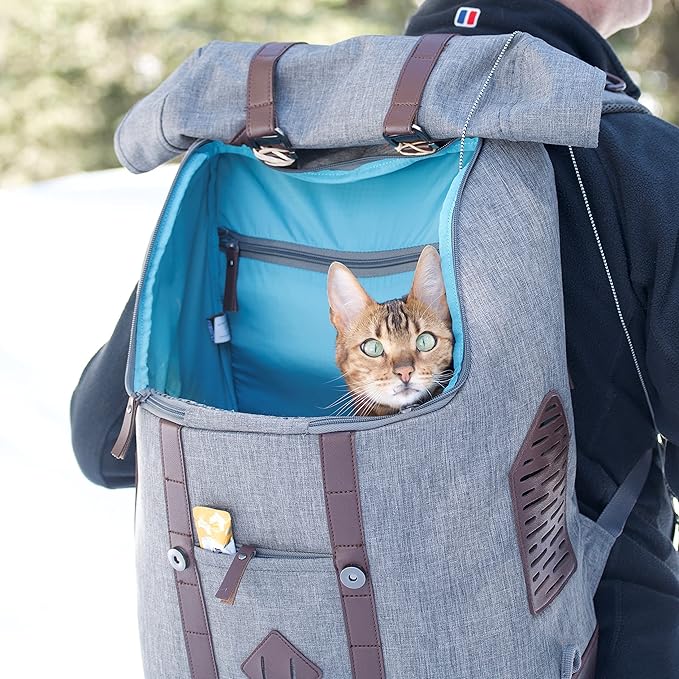 Kurgo Dog Carrier Backpack for Small Pets - Hands-Free Pet Travel Backpack - Armorsole Base - Convertible Backpack to Carrier - Rugged Pet Backpack - Heather Grey