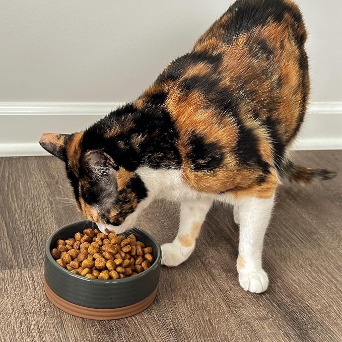 Mora Ceramic Pet Bowl Size Small - Food/Water Dish for Puppy Dogs, Cats, Guinea Pig, Rabbit, Hamster, Snake, ect. 11oz or 2 Cups - Basic Bowls for Your Dog or Cat, Mix and Match for a Set - Charcoal