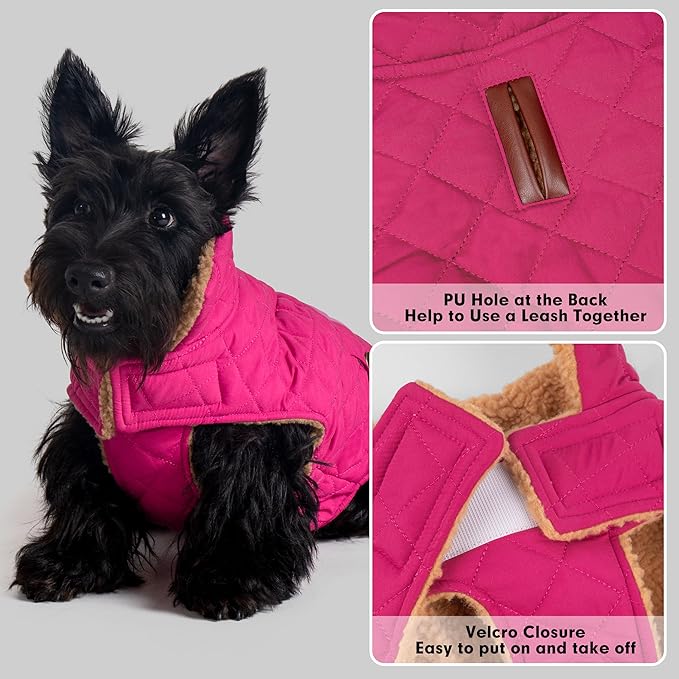 azuza Dog Jacket Waterproof & Windproof Dog Coat for Small Dogs with Thick Fleece, High Collar with Leash Hole, Adjustable Velcro & Elastic Belly, Rose Red XL