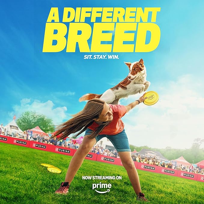 Purina Pro Plan High Protein Dog Food, Sport 30/20 Salmon and Rice Dog Food Dry Formula - 6 lb. Bag