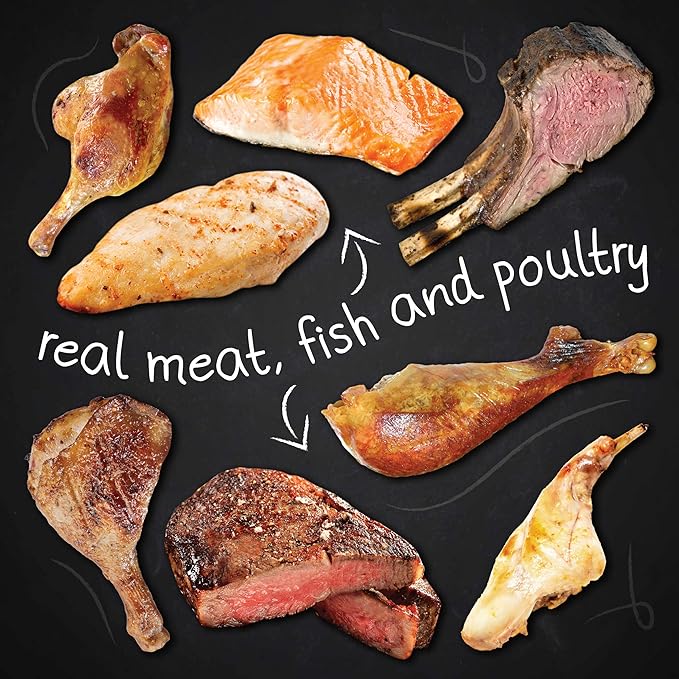 Hound & Gatos Wet Cat Food, 98% Poultry & Gamebird, Grain Free Pate Cat Food, Real Meat, High Protein, Limited Ingredients, No Additives, 5.5 oz. Cans (Pack of 24)