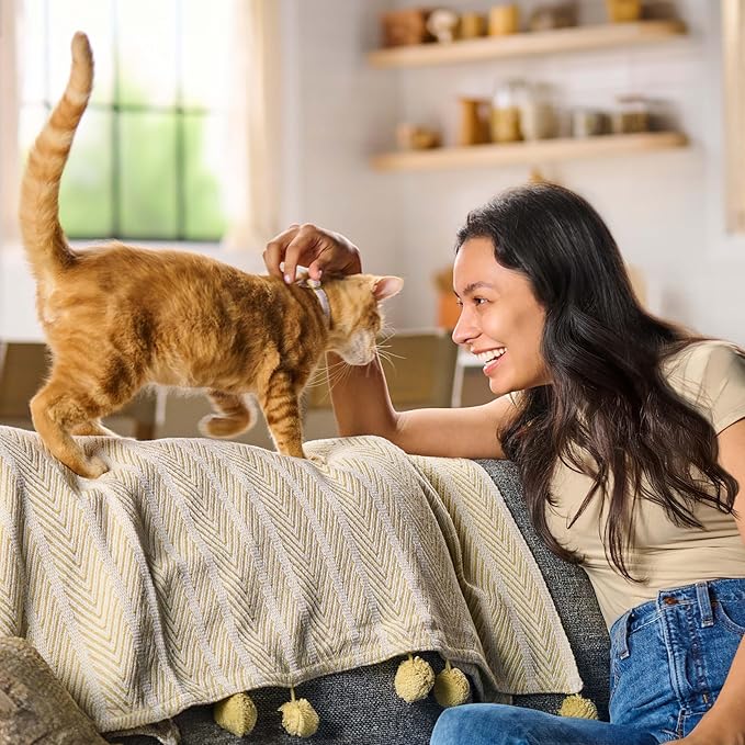 Meow Mix Tender Centers Dry Cat Food, Salmon & Turkey, 3 Pounds (Pack of 4), with Vitality Bursts