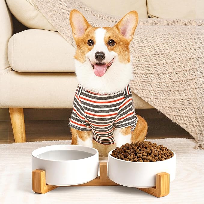 White Ceramic Dog & Cat Bowl Set – 13.5 OZ with Wooden Stand, Non-Slip, Elevated Design for Small Dogs & Cats – 2 Bowls (Food & Water, Ceramic Pet Bowls, Modern Dog Bowls)
