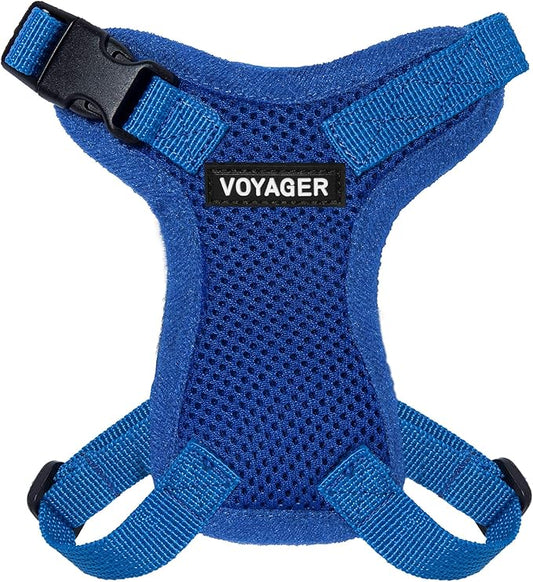 Voyager Step-in Lock Adjustable Cat Harness w. Cat Leash Combo Set with Neoprene Handle 5ft - Supports Small, Medium and Large Breed Cats by Best Pet Supplies - Royal Blue, XXS