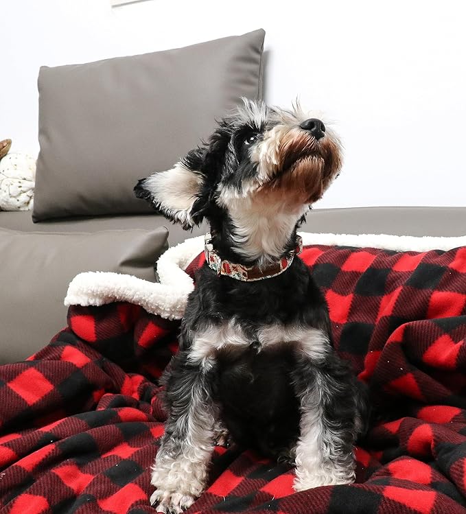 Unique style paws Halloween Dog Collar Metal Buckle Pumpkin Collar Gift Durable Cute Collar for Small Medium Large Boys Girls Dogs