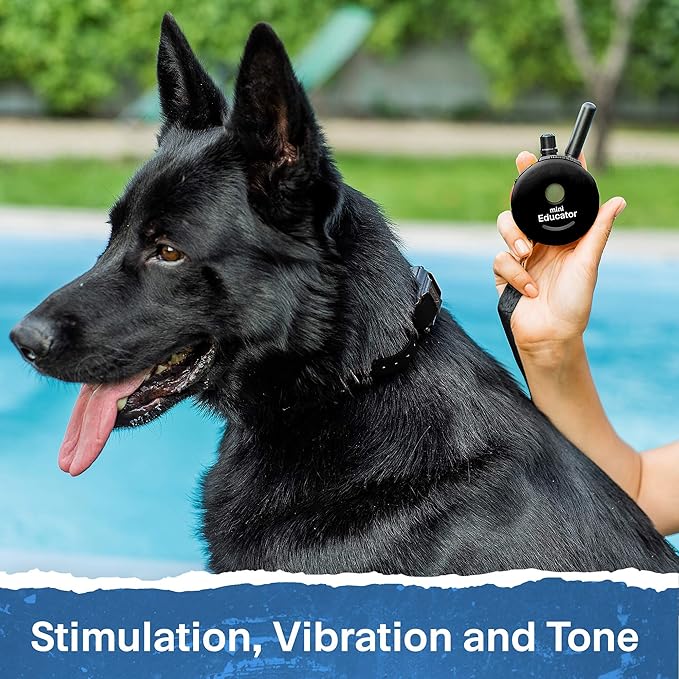 Educator ET-302 BK - 1/2 Mile Rechargeable Dog Trainer Ecollar with Remote for Small, Medium, and Large Dogs by E-Collar Technologies - Electric, Vibration, Tone, and Stimulation Training Collar