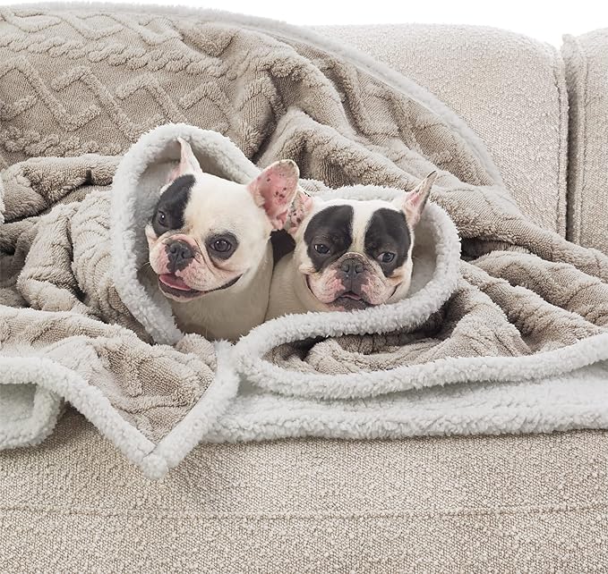 Bedsure Waterproof Dog Blankets for Large Dogs - Pet Blanket for Couch Protector Washable, Jacquard Coral Fleece Cat Throw Blanket, Soft Plush Reversible Furniture Protection, 50"x60", Pale Oak