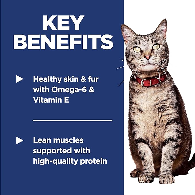 Hill's Science Diet Adult 1-6, Adult 1-6 Premium Nutrition, Dry Cat Food, Salmon & Brown Rice, 6.5 lb Bag