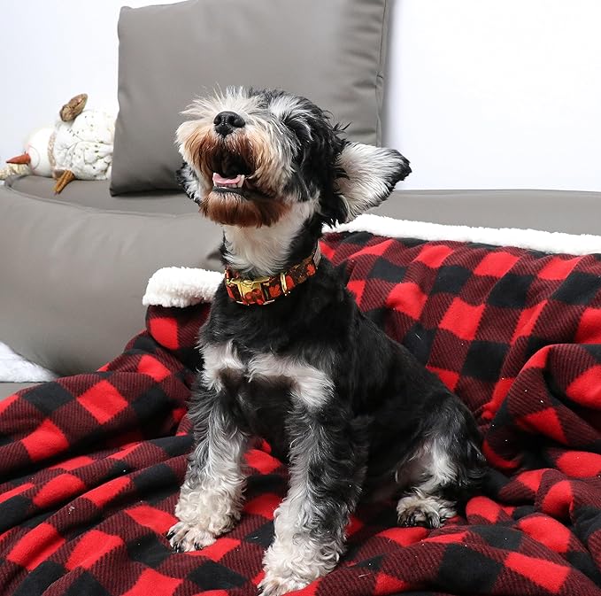 Unique style paws Dog Collar Metal Buckle Gift for Small Medium Large Boys Girls Dogs, XL