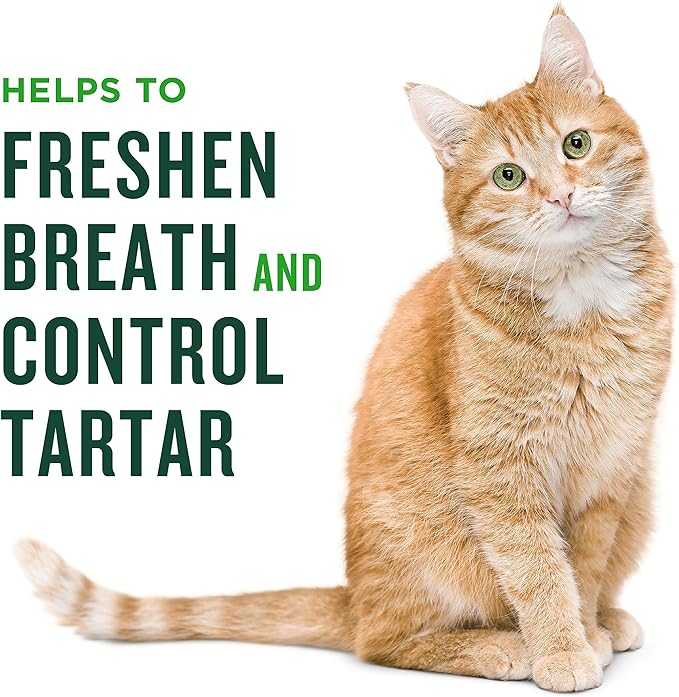 Minties Dental Treats for Cats, Chicken Flavored Treats for Cats, Freshens Breath and Controls Tartar, 10oz (Pack of 2)