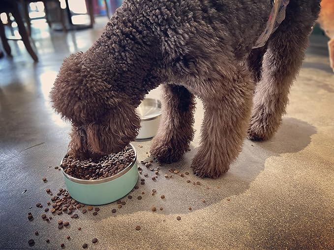 IKITCHEN Dog Bowl for Food and Water, 64 Oz Stainless Steel Pet Feeding Bowl, Durable Non-Skid Double Wall Insulated Heavy Duty with Rubber Bottom for Medium Large Dogs (64 Ounces/8 Cup, MintGreen)