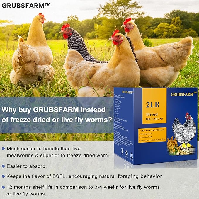 Premium Chicken Treats 2LBS - Superior to Dried Mealworms - Non-GMO & 85X More Calcium Than Meal Worms - Molting & Laying Supplement - BSF Larvae Treats for Layer Hens, Ducks Wild Birds