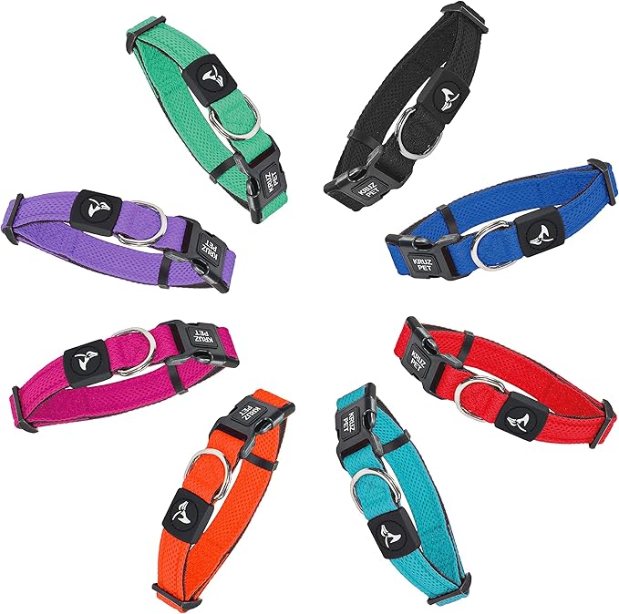 Dog Collar for Small Dogs (Width- 3/4", Neck - 10.5"-14.5") Adjustable Pet Neck Band with Comfortable Soft Padding, Lifetime Durability, Heavy-Duty O-Ring (Orange, Small)