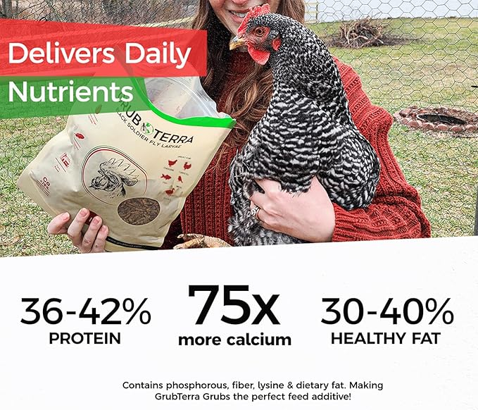 GrubTerra Golden Dried Black Soldier Fly Larvae - Premium Supplement to Increase Egg Production for Hen Treats, Bird Feed, Chicken Feeder, Pet Bird Food, and Wildbird Feed, Never from China! (5lb)