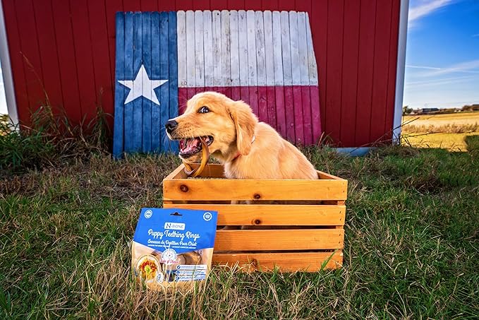 N-Bone Puppy Teething Rings Taste of Texas Queso Con Carne Flavor 3 Count