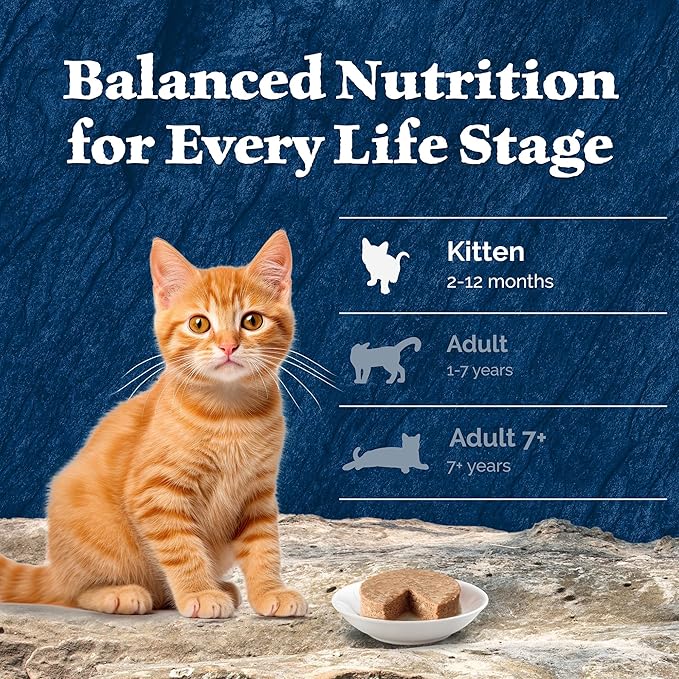 Blue Buffalo Wilderness Natural High Protein Grain Free Wet Food for Kittens, Salmon Pate, 3-oz, 24 Count
