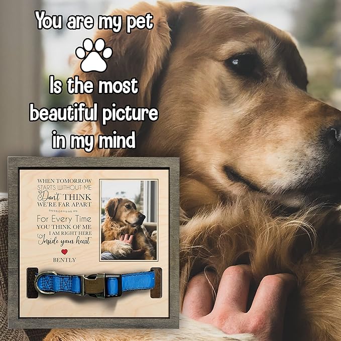 Personalized Dog Picture Pet Loss Sign Frames Dog Passed Away Gift Wood Sign Pet Picture Frame Dog Heaven Dog Sympathy Gifts for Christmas Memorial Plaques for Dogs and Cat Picture Frames