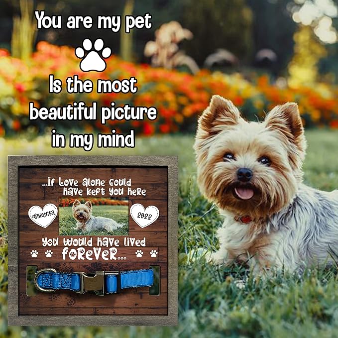Personalized Dog Memorial Picture Frame - Collar Gifts with Pawprints & Pet Loss Remembrance Plaque in Loving Memory