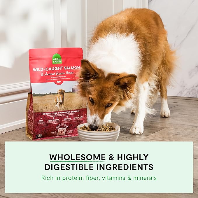 Open Farm, Ancient Grains Dry Dog Food, Protein-Rich & Nutrient Dense, 90% Animal Protein Mixed with Non-GMO Fruits, Veggies and Superfoods, Farmer's Table Pork Recipe, 22lb Bag