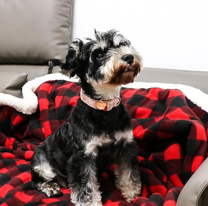 Unique style paws Christmas Dog Collar Metal Buckle Pink Gingerbread Puppy Collar Gift Durable Cute Collar for Small Medium Large Boys Girls Dogs