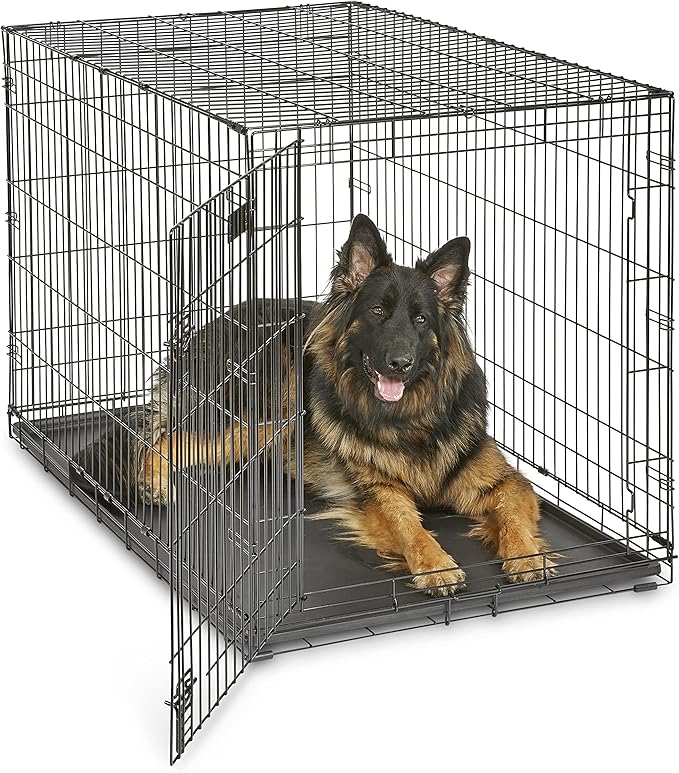 MidWest Homes for Pets 48-Inch iCrate Folding Dog Crate with Divider Panel, Leak-Proof Tray & Secure Latches – Metal Wire Kennel for XL Breeds – Portable, Durable & Easy to Assemble