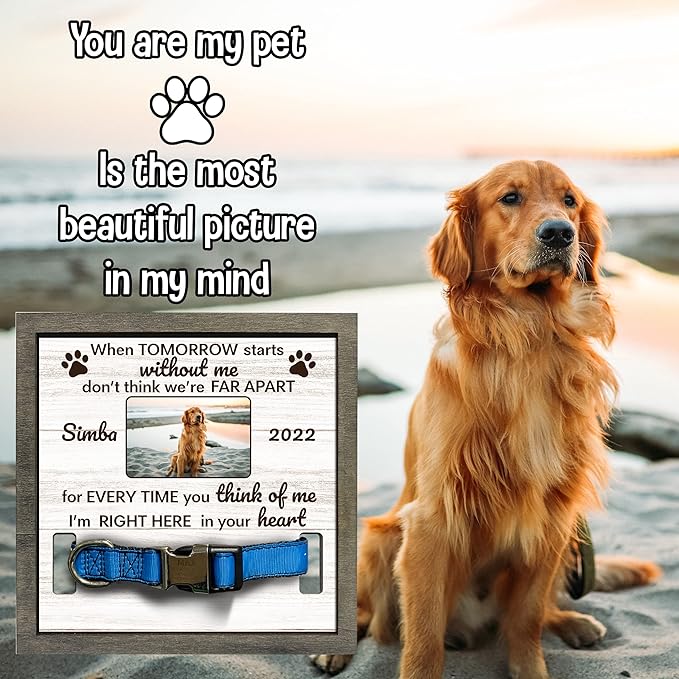 Customized Dog Collar Frame Memorial Pet Loss Sign for Dogs Lovers Gifts Pet Wood Memorial for Tabletops Someone Who Lost A Pet Keepsake Picture Frame Sympathy Gifts Funerary Decor Wall Items