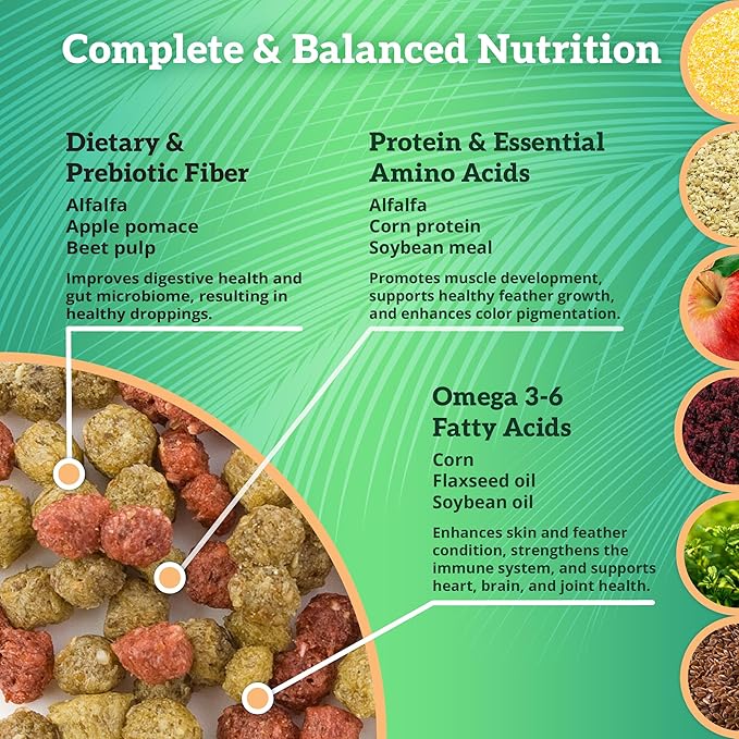 Scenic Allprem Canary and Finch Bird Food | Formulated Diet | Apple and Corn Flavor | 1 Pound Bag (1 LB)