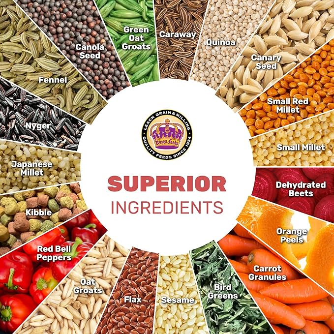 Finch Cuisine 20 lbs, Finch Food, Nutrient-Rich Blend Bird Seed, Birdseed for Finches and Small Birds, Support Daily Energy, Growth & Healthy Balanced Diet, No Mess Bird Seed