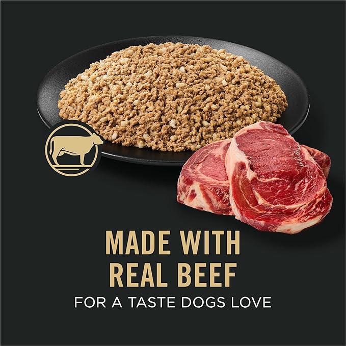 Purina Pro Plan Sensitive Skin and Stomach Dog Food Wet Classic Pate Beef and Oat Meal Entrée - (Pack of 12) 13 oz. Cans