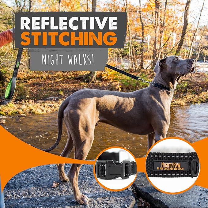 Mighty Paw Martingale Dog Collar 2.0 | Trainer Approved Limited Slip Collar with Stainless Steel Chain & Heavy Duty Buckle - Modified Cinch Collar for Gentle & Effective Pet Training - Small, Black