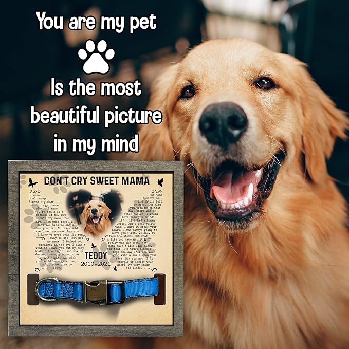 Personalized Dog Frame - Pet Loss Sign With Heartfelt Sentimental Quote for Someone Who Lost a Dog or Cat - Customized Memorial Keepsake Remembrance Home Decor for Birthday or Xmas