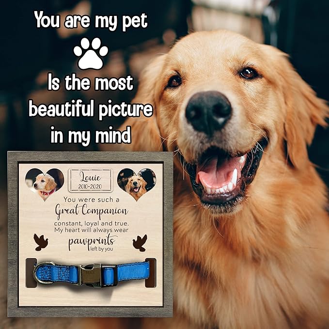 Personalized Dog Collar Frame Pet Loss Sign Ever Gifts With Heartfelt Sentimental Quote For Someone Who Lost A Pet Collar Memorial Keepsake Uploaded Picture Frame Remembrance Home Decor Desk