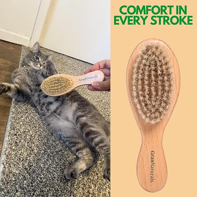 GranNaturals Boar Bristle Soft Cat Brush for Indoor, Outdoor, Short Haired Cats, Kittens, Small Dog, Rabbit, Furry Pets - Gentle Grooming on Sensitive Hair Coat & Tail with Durable Wooden Handle