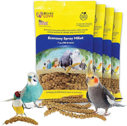 Birds LOVE Economy Special Spray Millet - GMO-Free (No Stems Only Edible Tops) for Birds Cockatiel, Lovebird, Parakeet, Finch, Canary All Parrots Healthy Treat 7oz - Pack of 4