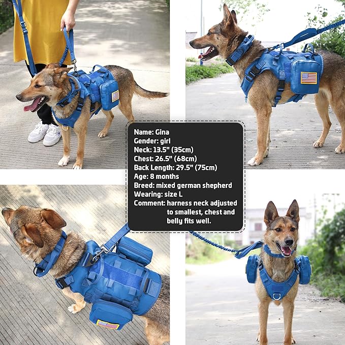 Forestpaw Tactical Dog Harness for Large Dogs,Tactical Dog Collar with Bungee Leash Set,No Pull Military Dog Harness for Walking Training,Adjustable for Medium Large Dogs,Blue,Chest 21.5-45"